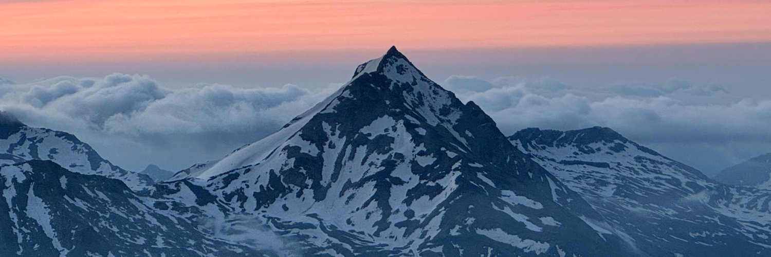 Carolyn Beckedorff banner