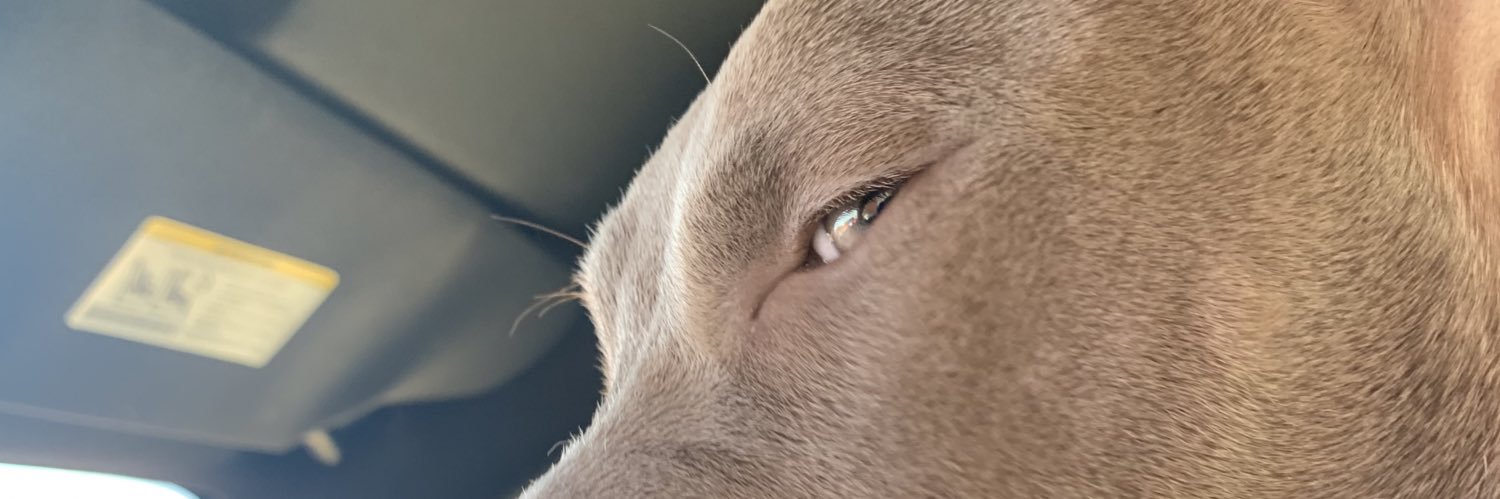 xo_d16's profile banner image
