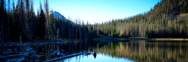 brains003 Profile Banner