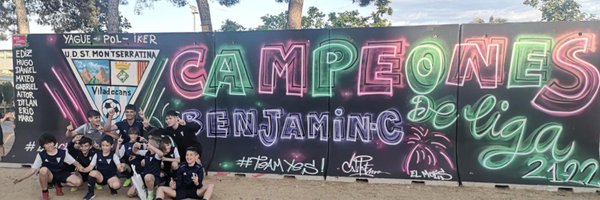 udsectorm Profile Banner