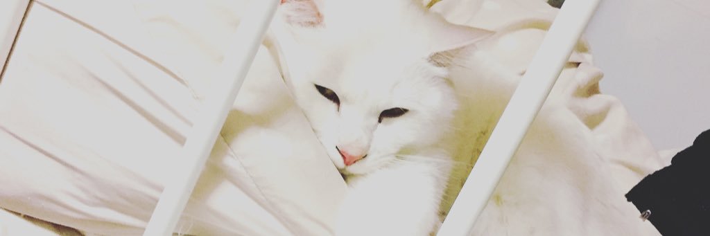pb27_mo33's profile banner image