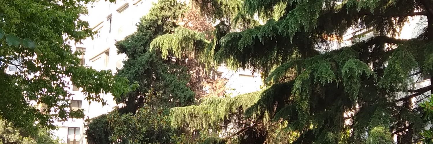 TalTlin's profile banner image