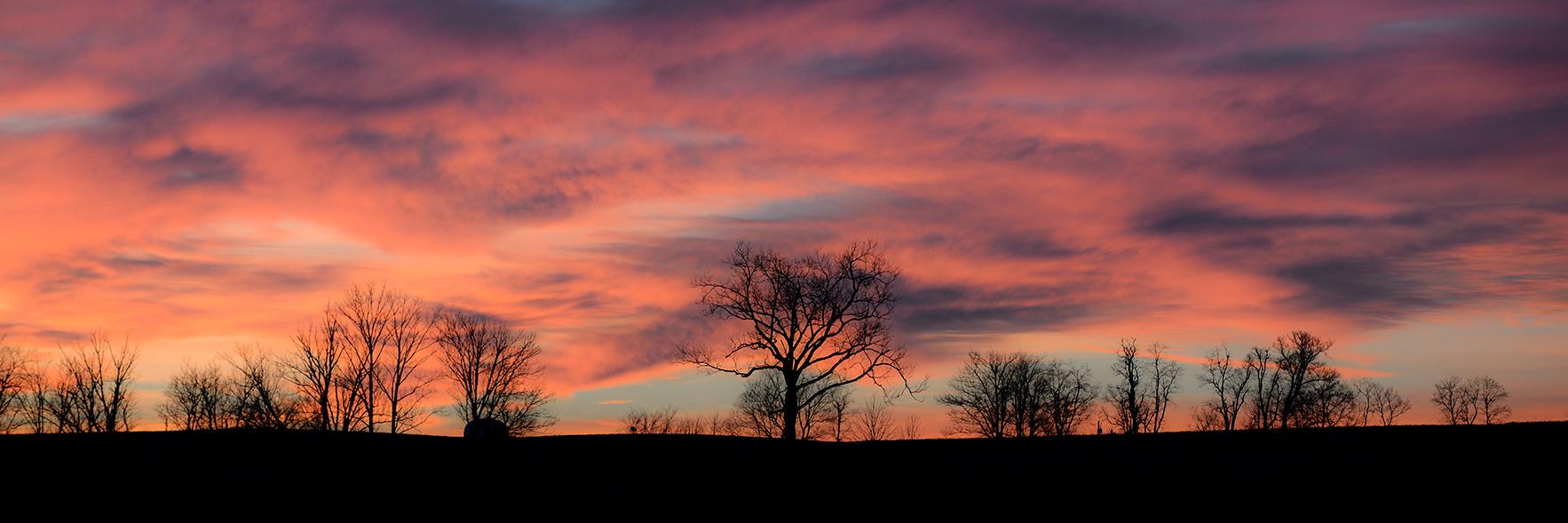PM Advertising banner