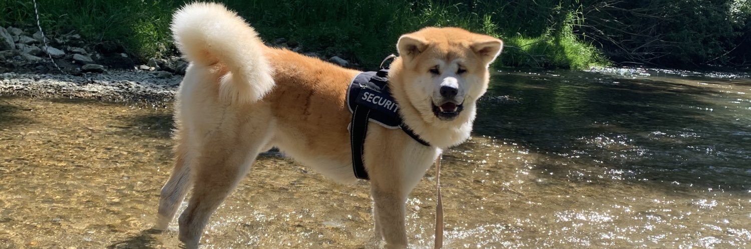 joris ⭐️⭐️ banner