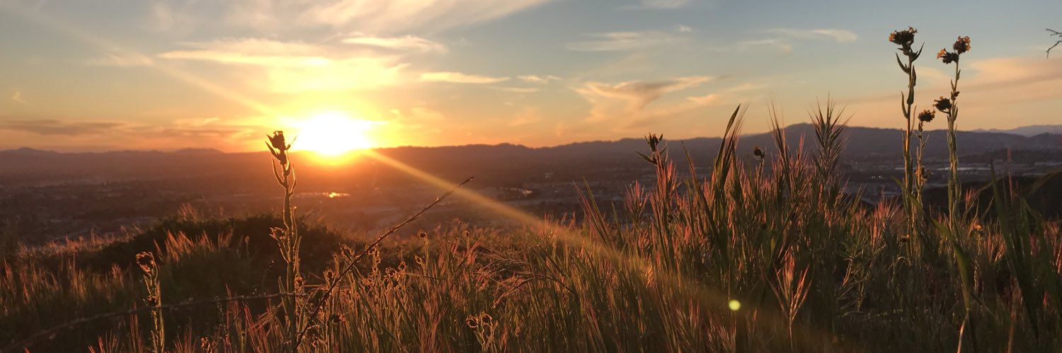MishhMash's profile banner image