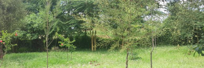SUSTOUR_Kenya's profile banner image