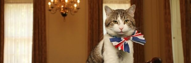 rob of the reds #fbpe banner