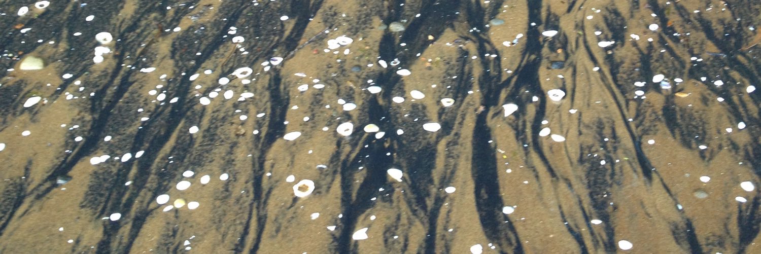 dorothyker's profile banner image