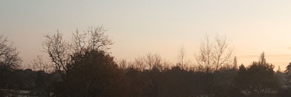 AmyBass23's profile banner image