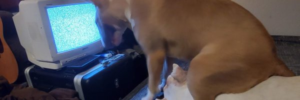 FJamesPrice Profile Banner