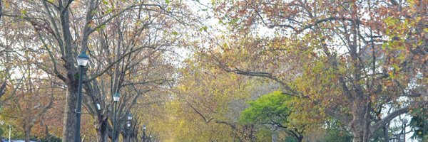 thisguynjage Profile Banner