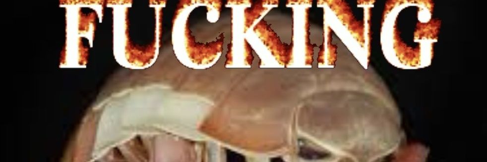 sunny_side_pup's profile banner image