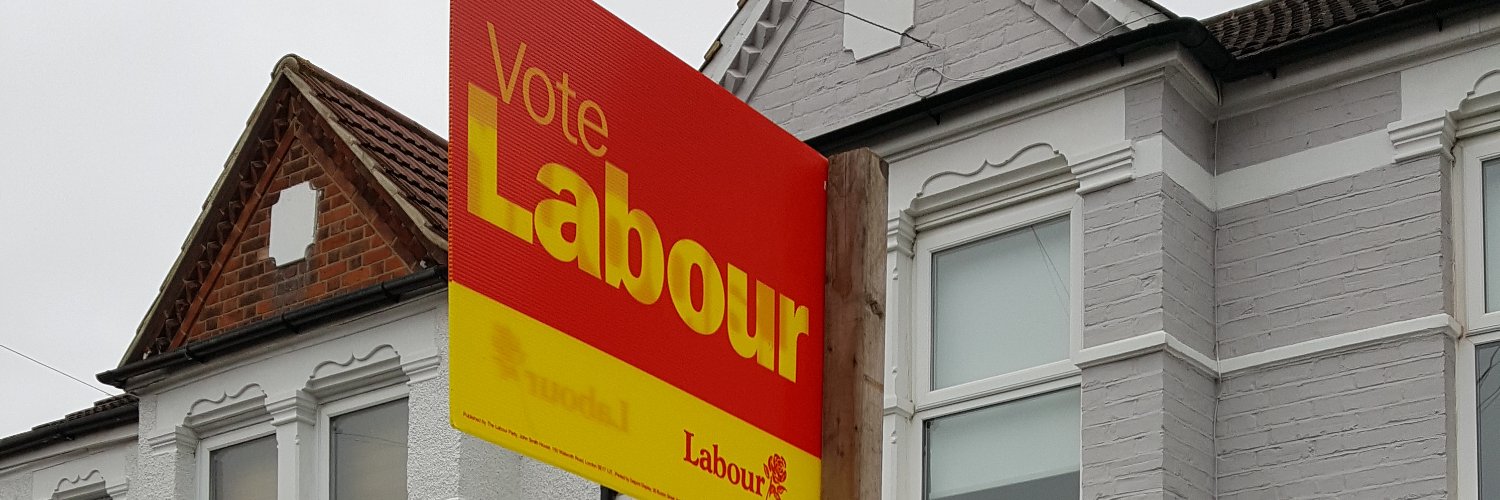 Susan Wise banner