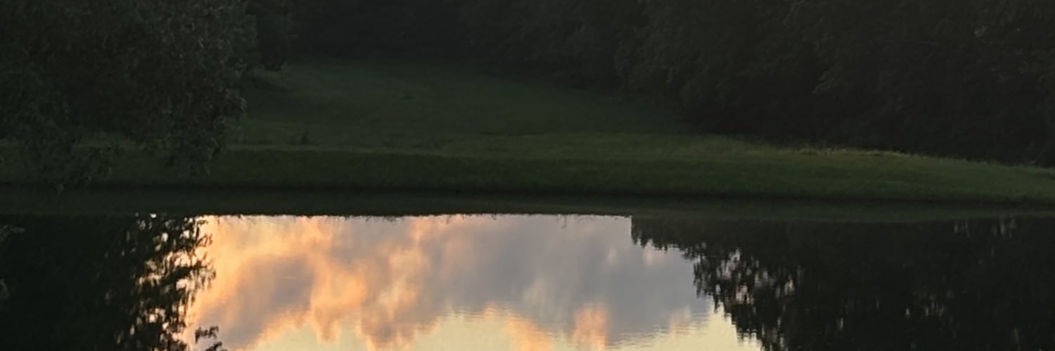 TheReadTeach's profile banner image