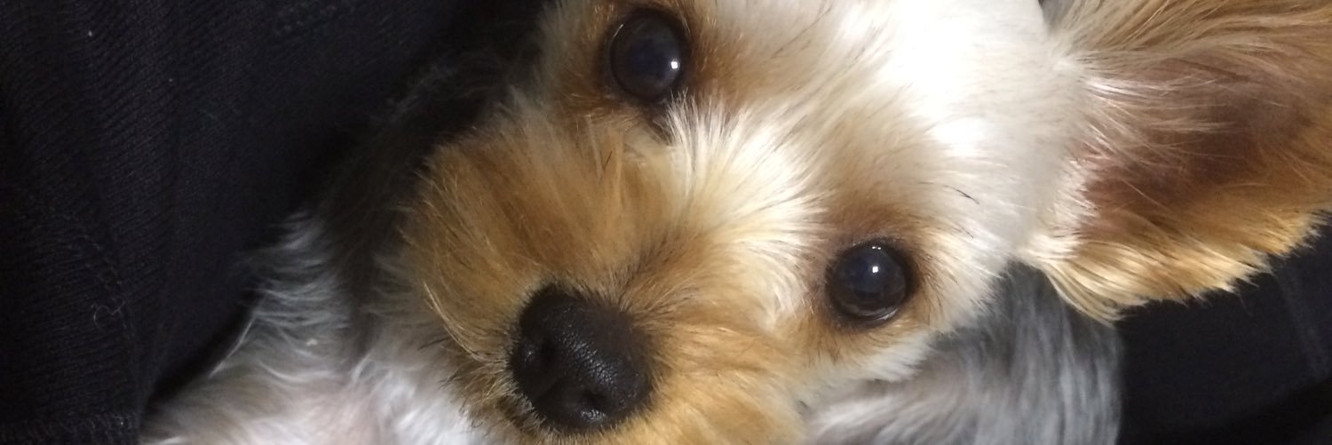ko_m_ru's profile banner image