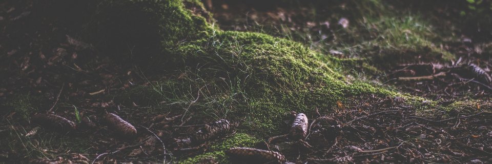 TL_novel's profile banner image
