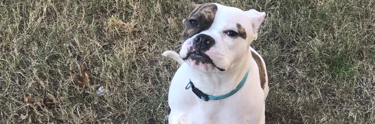 Brandon Thompson Jr. banner