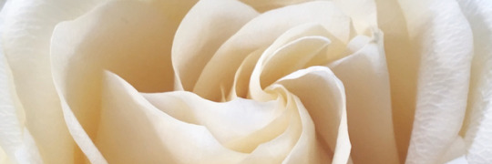 chxrrywrite's profile banner image