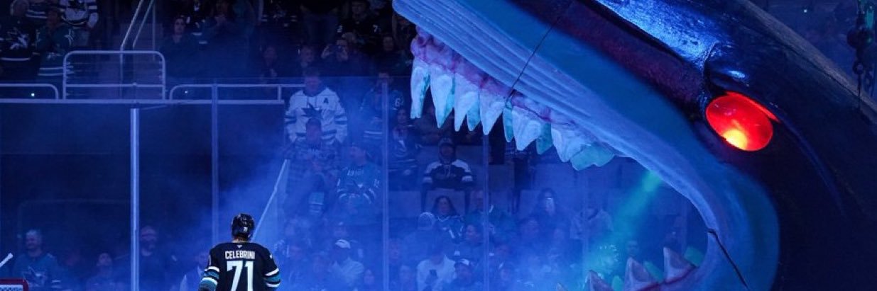 MagnusTrue's profile banner image