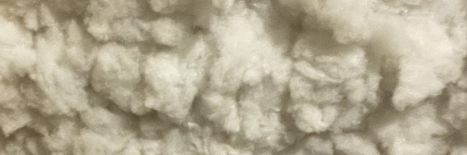 Xnpt_ banner