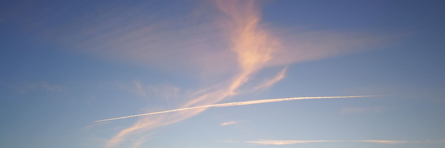 Hashimotofor's profile banner image