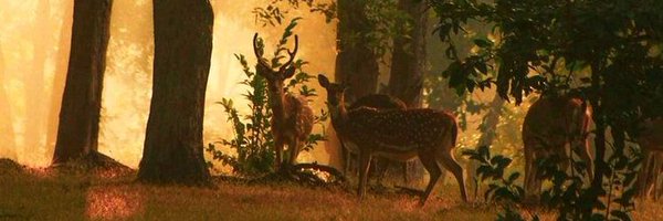 ckolvekar Profile Banner