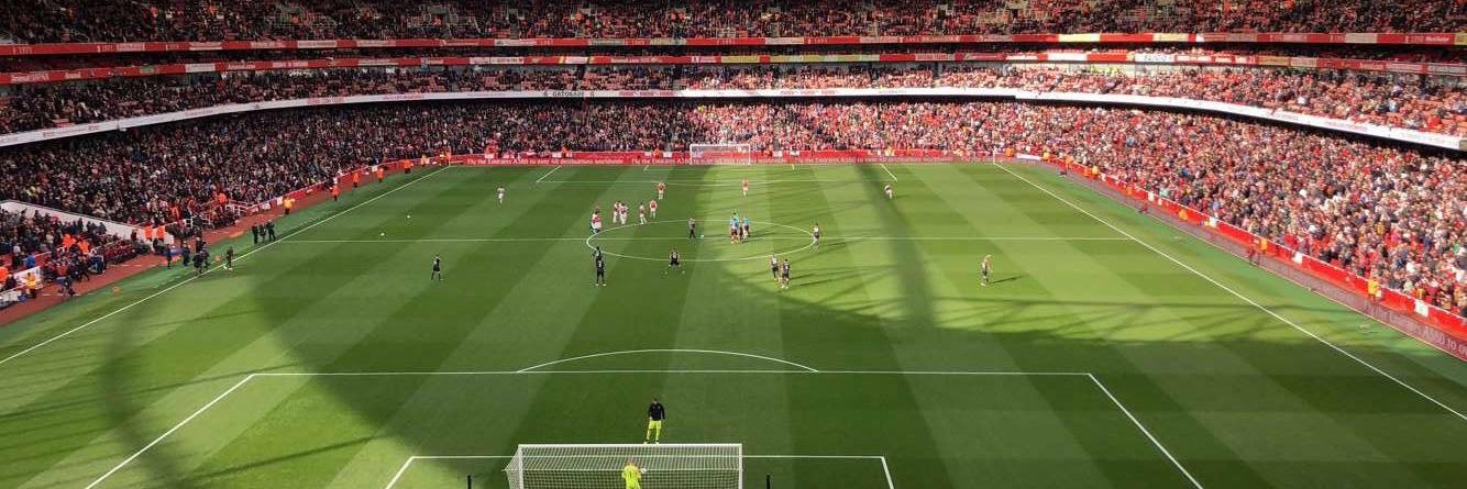 Ally DeCourcy banner