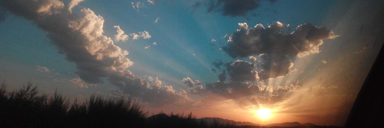 minipal11's profile banner image