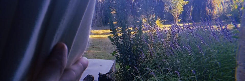 lastracat's profile banner image