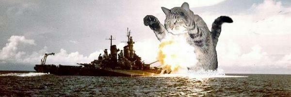 meovvvvs's profile banner image