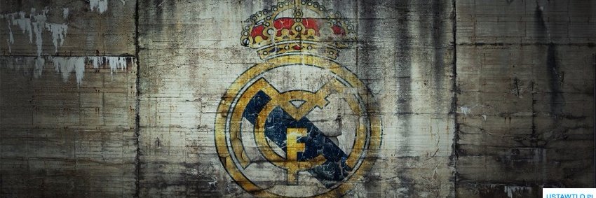The Junkest banner