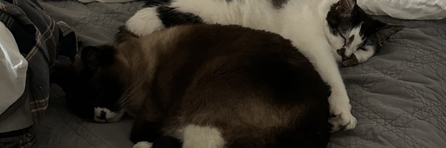 MaxBlasor's profile banner image