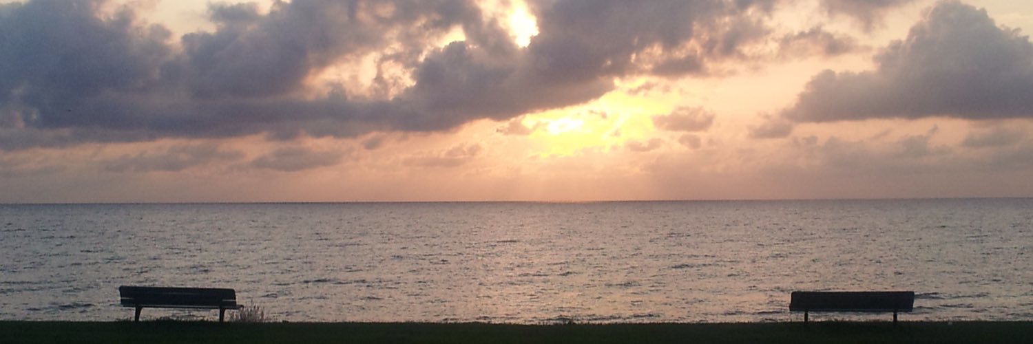 isabelleSoyer's profile banner image