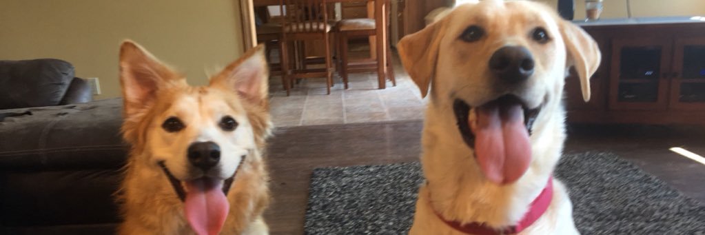 itsaudreyy1's profile banner image