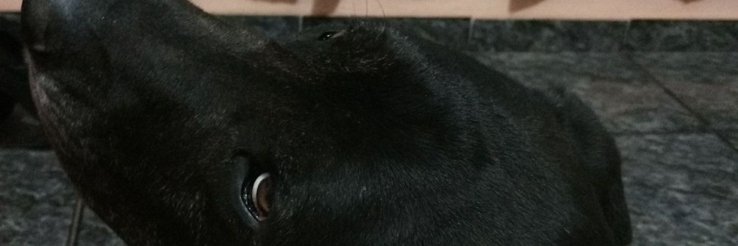 Pilyw_'s profile banner image
