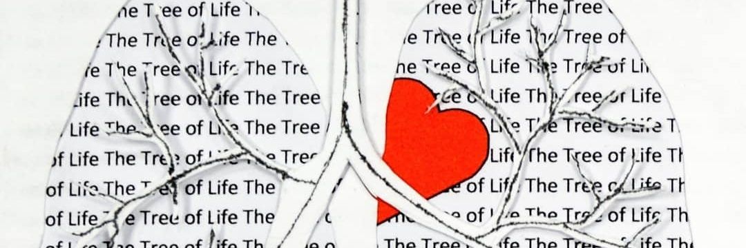 AllisonKiln's profile banner image