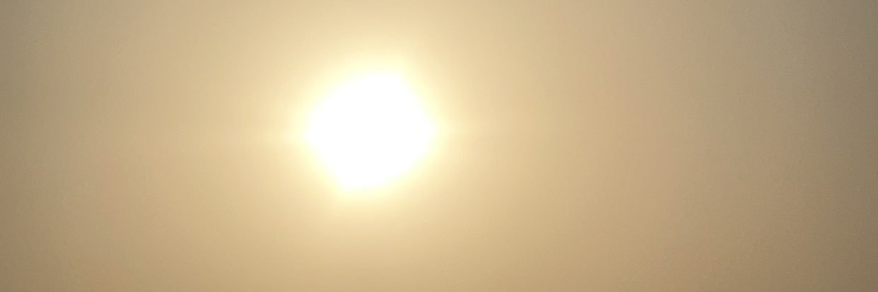 Dum spiro spero banner