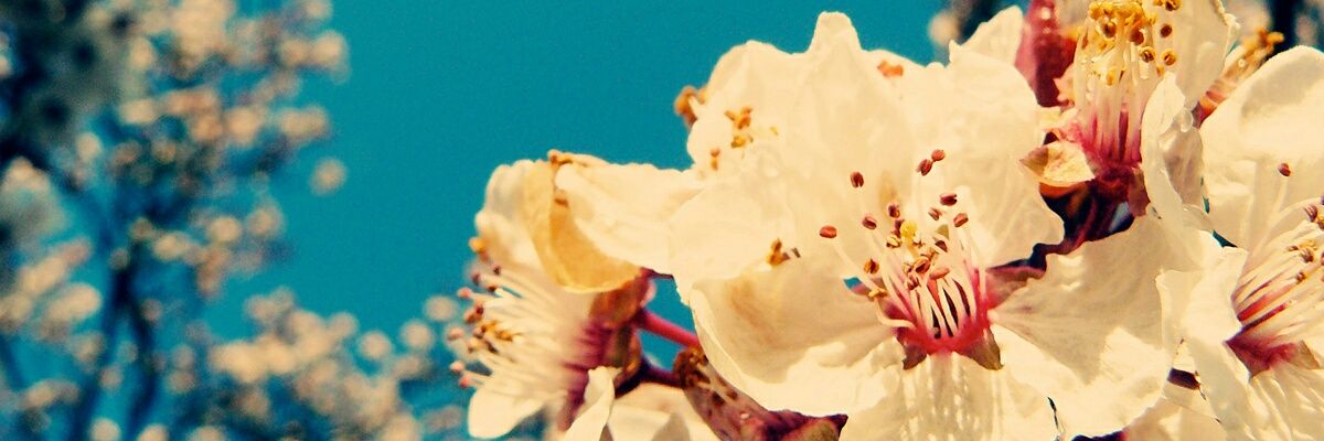 Justyna_M1996's profile banner image