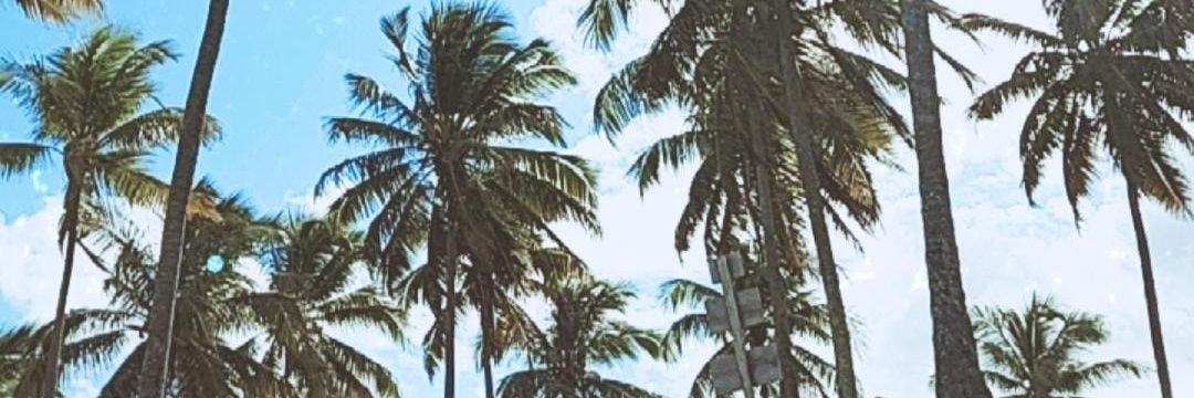 SempreJady's profile banner image