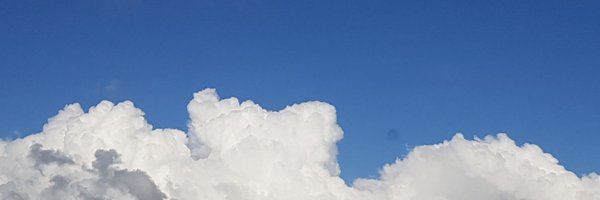 data_luke Profile Banner