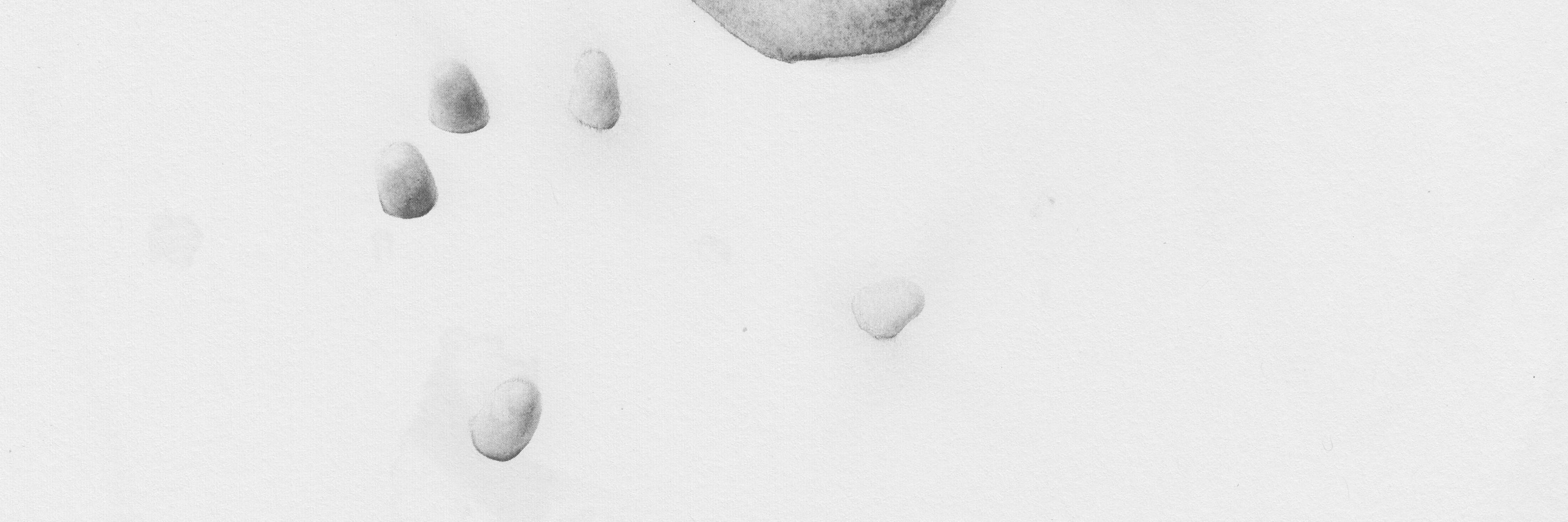 willyatesmusic's profile banner image