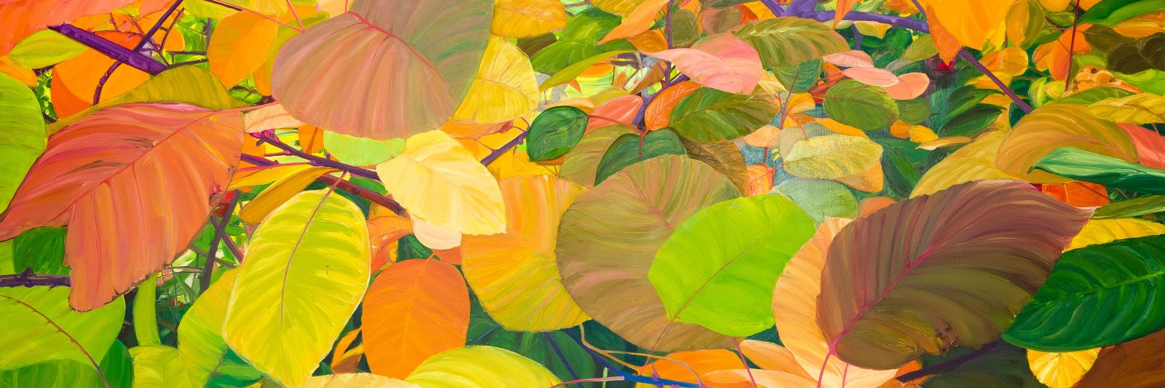 LocksGallery's profile banner image