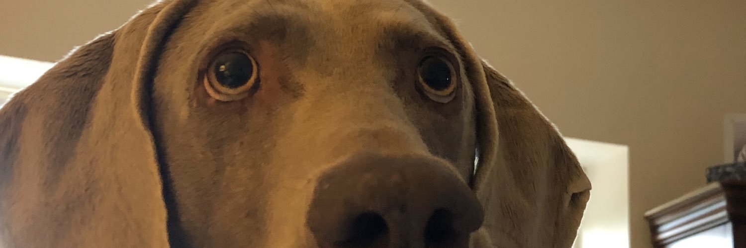 jocko121's profile banner image