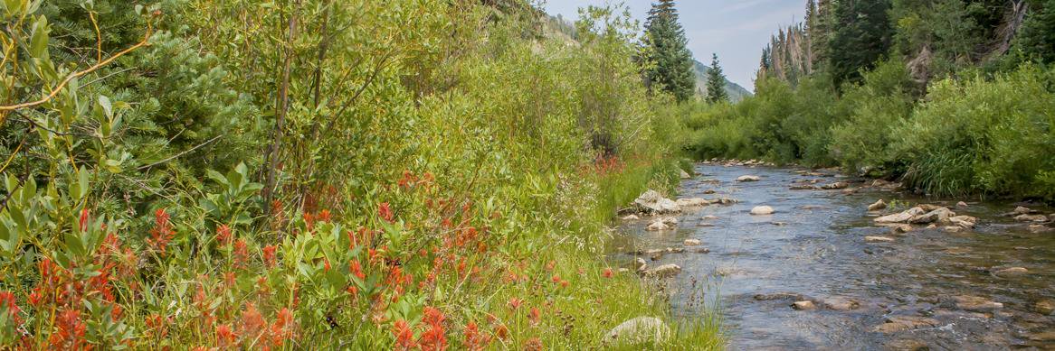 Utah Rivers Council banner