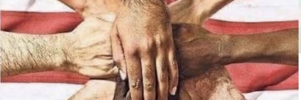 Dinks17 💚💜🤍🇬🇧🏴󠁧󠁢󠁥󠁮󠁧󠁿🇪🇺 banner