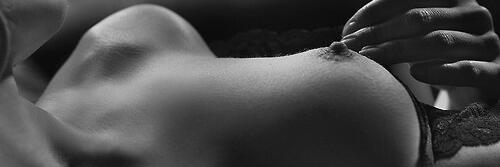 wildpassionbg's profile banner image