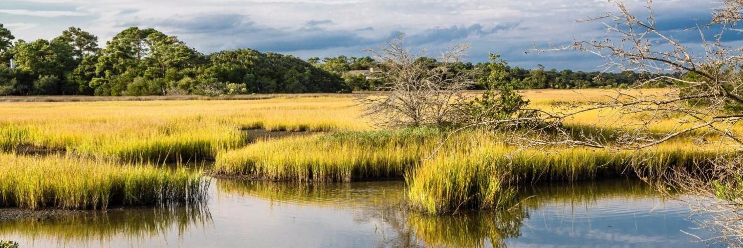 Sne-FSU Biodiversité banner