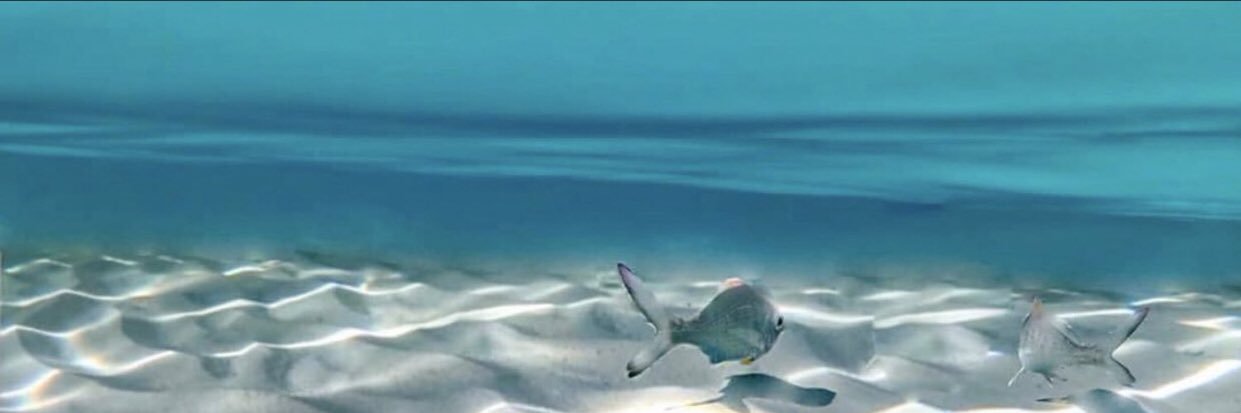 _ebruozturk_'s profile banner image