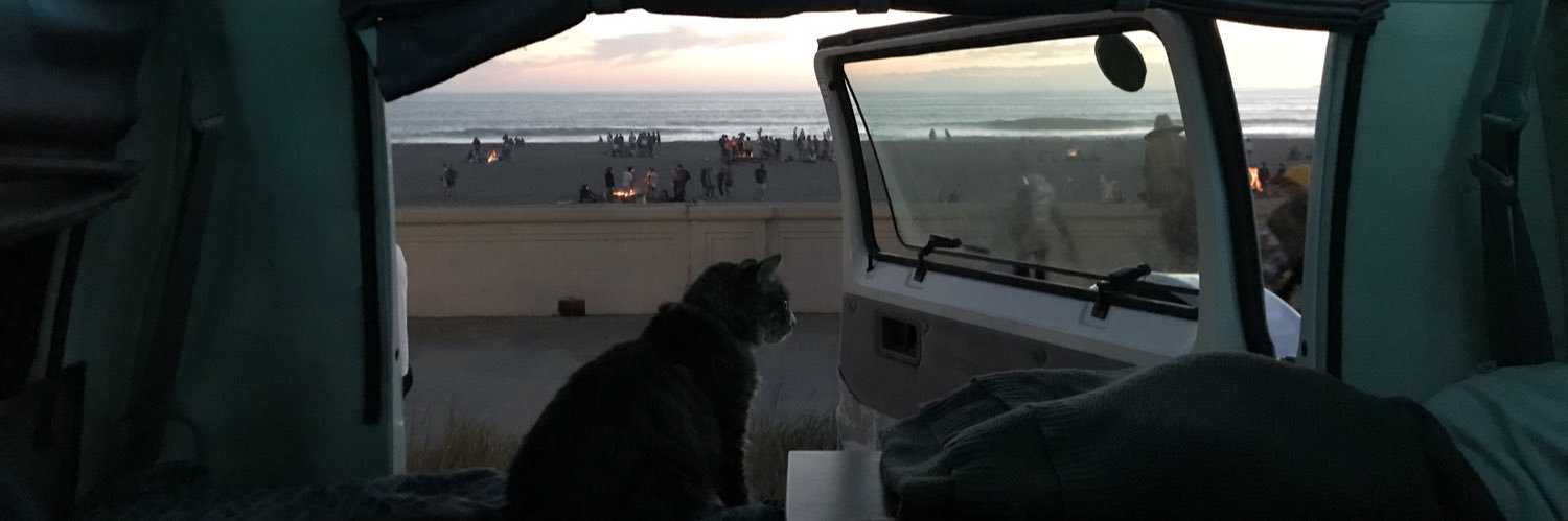catoffchoo's profile banner image