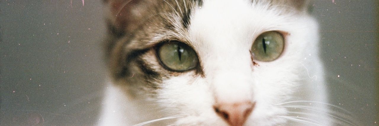 piluspay's profile banner image